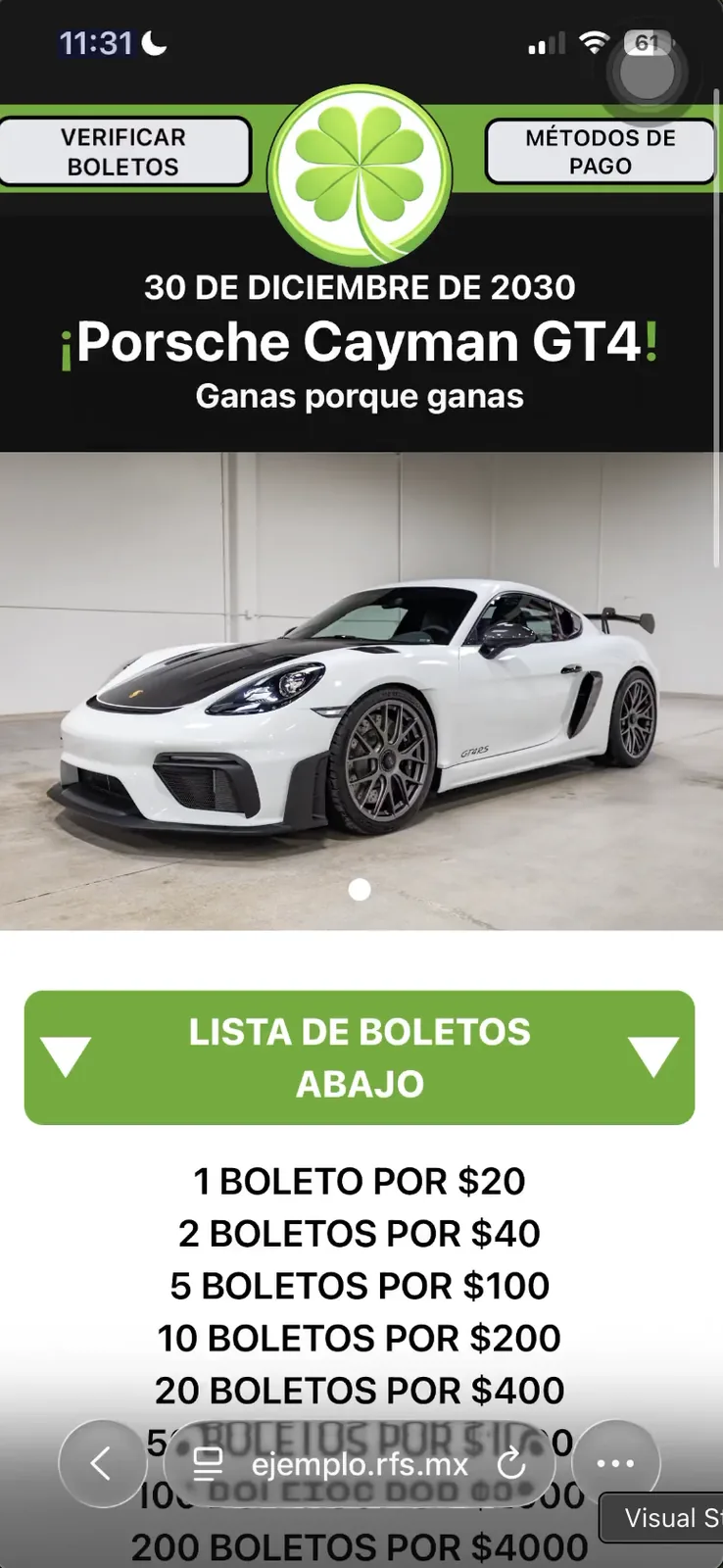 Ejemplo de página de rifa en línea — vista del comprador en celular